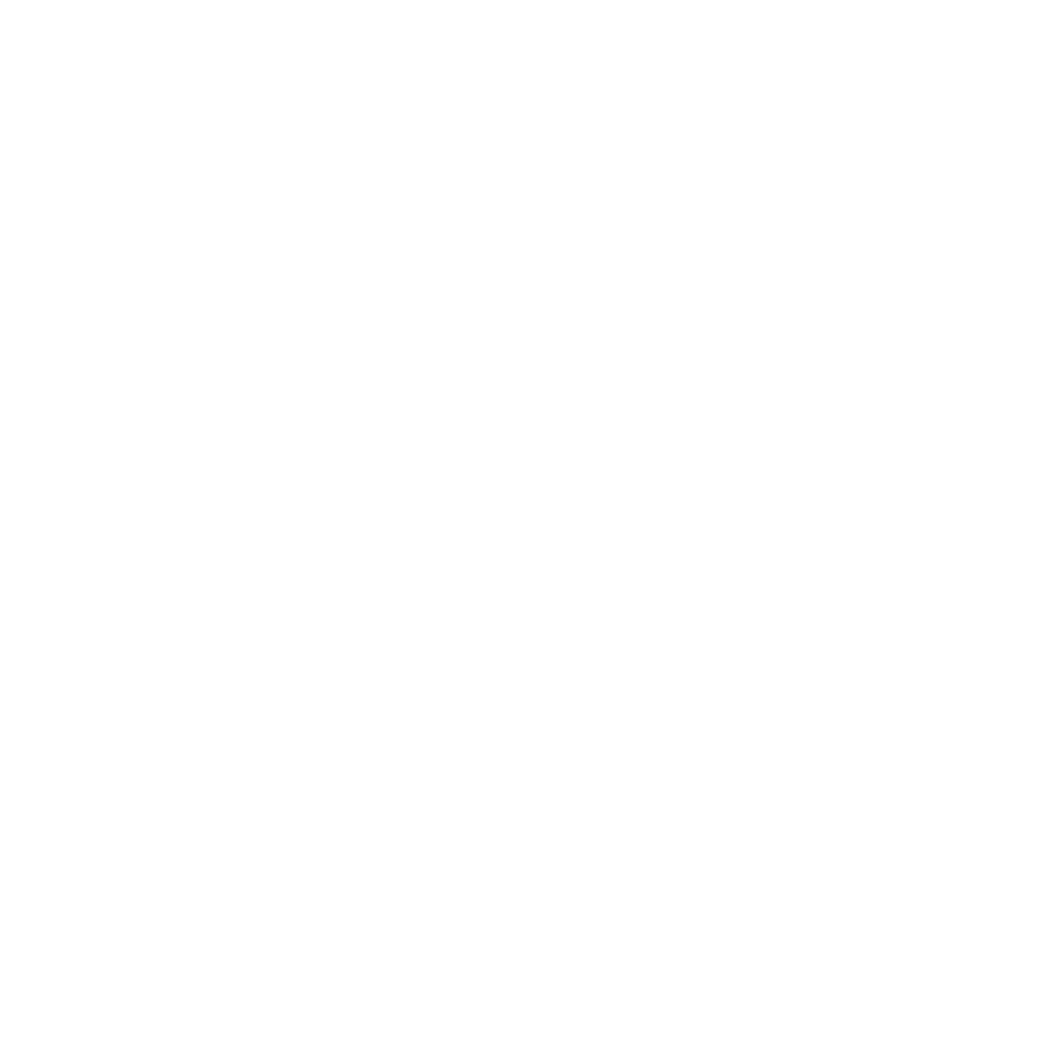 reys window tinting logo greyed
